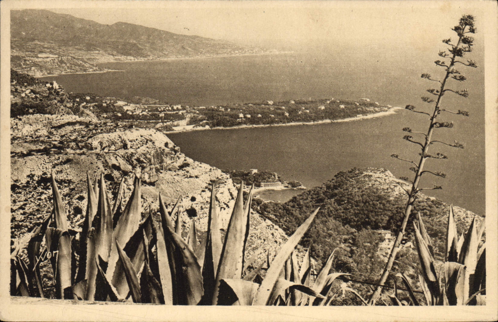 CPA Le Cap Martin vu du rond point de la Turbie 