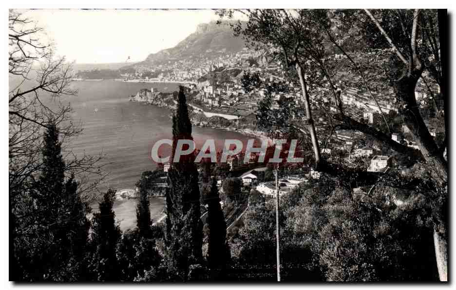 CPM Monaco La Principaute vue de Roquebrune