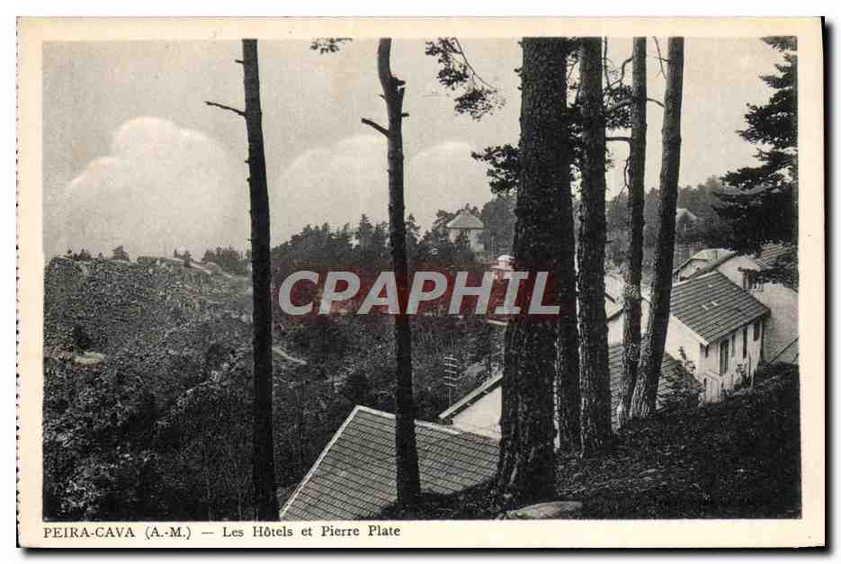 CPA Peira Cava Les Hotels et pierre plate 