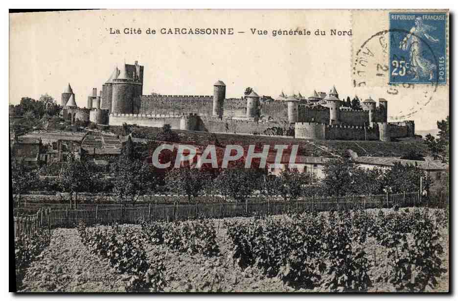CPA La Cite De Carcassonne Vue Generale Du Nord