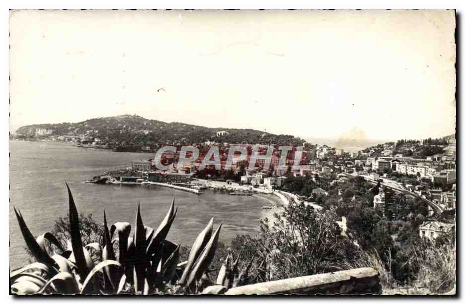CPM Beaulieu Sur Mer Le Port Et Le Cap Ferrat