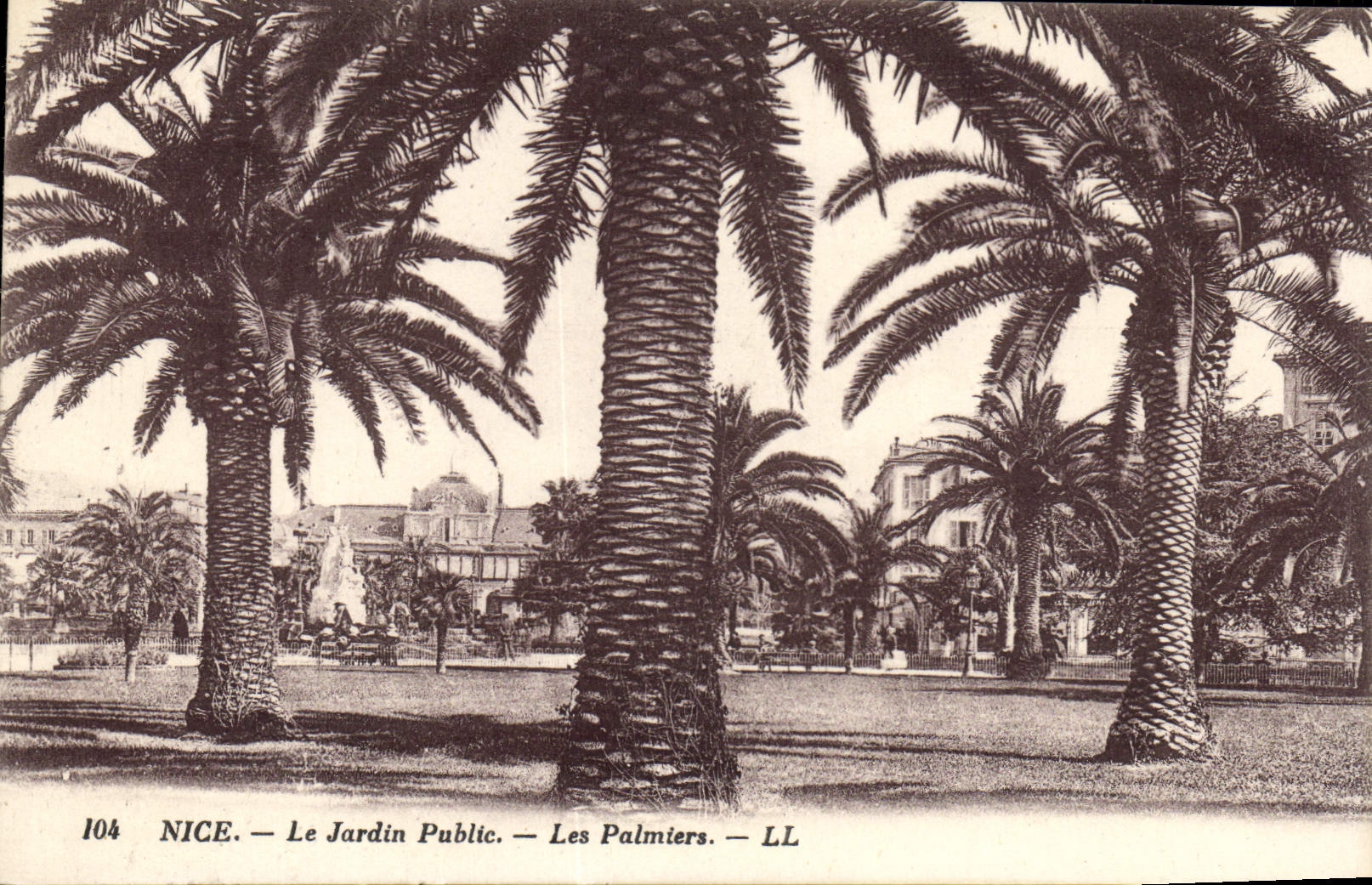 CPA Nice La Jardin Phblic Les Palmiers