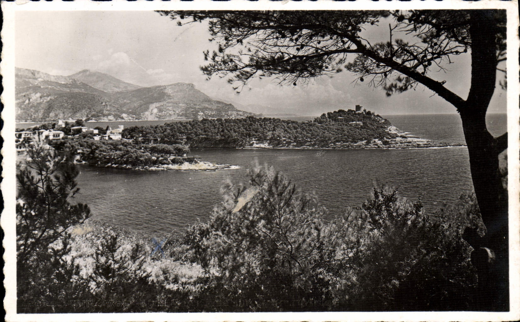 Vue sur Saint-Hospice, Cap d'Ail et la Tête de Chien — Saint-Jean-Cap-Ferrat