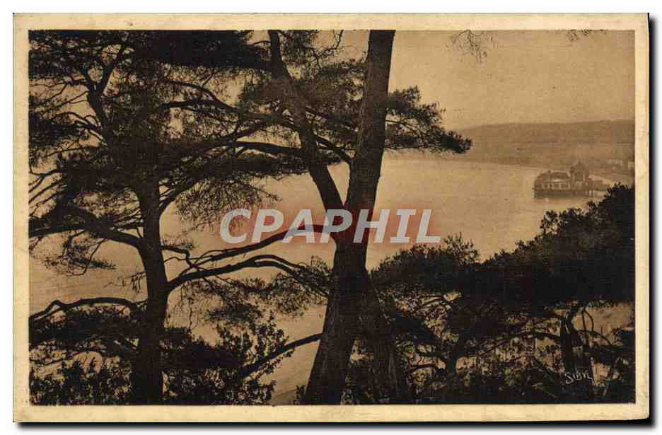 CPA Nice La Baie Des Anges A Travers les pins du chateau 