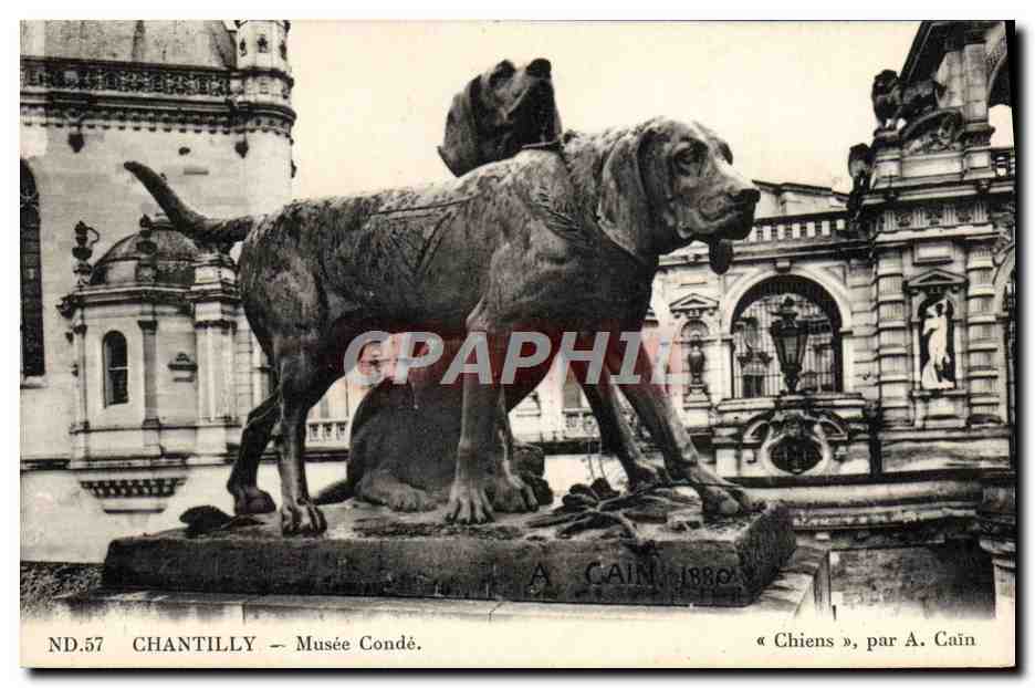 Chantilly — Musée Condé — « Chiens », par A. Cain