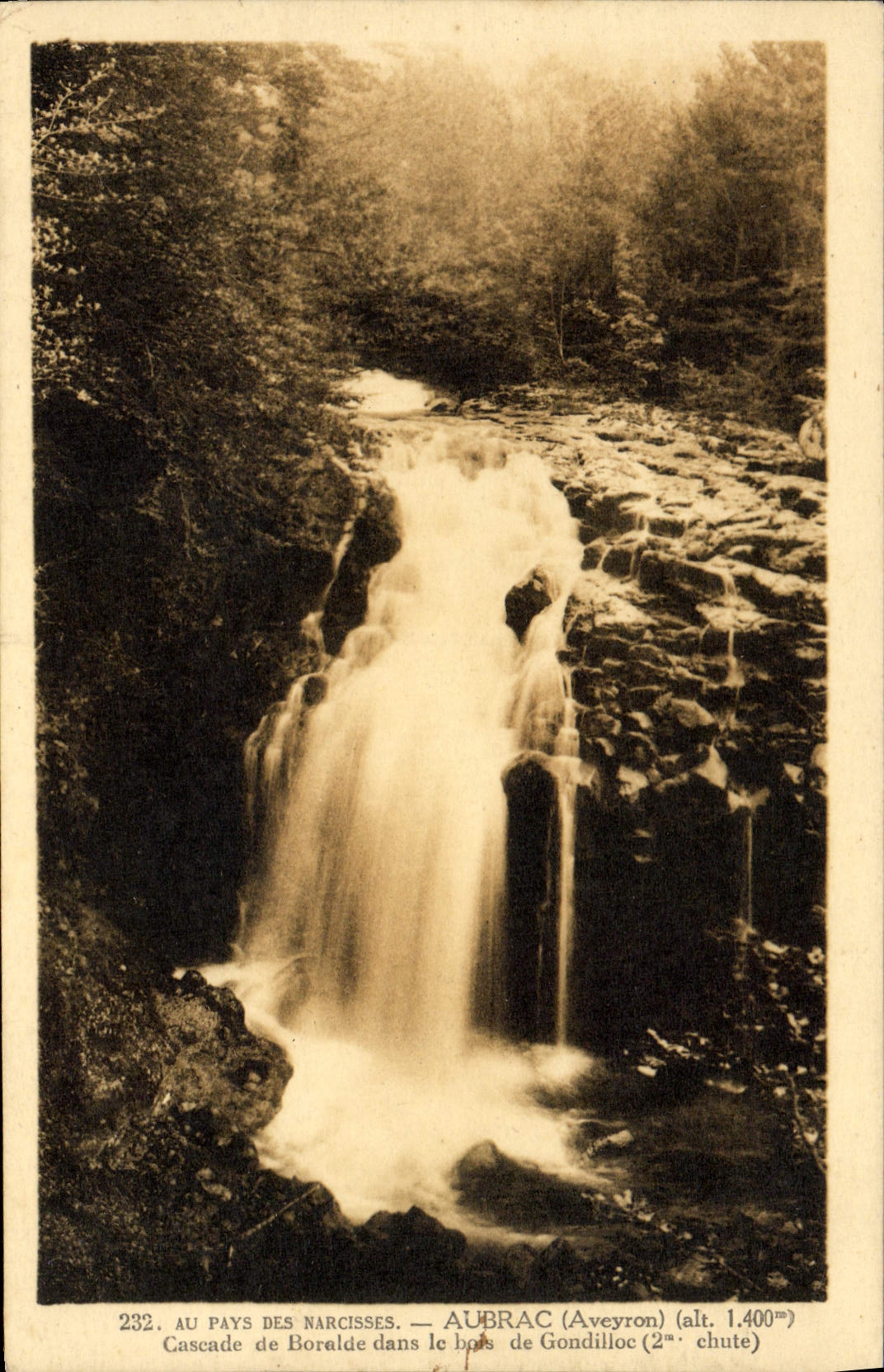 Cascade de Boralde dans le bois de Gondilloc — Aubrac (Aveyron) — éditeur non identifié, n° 232