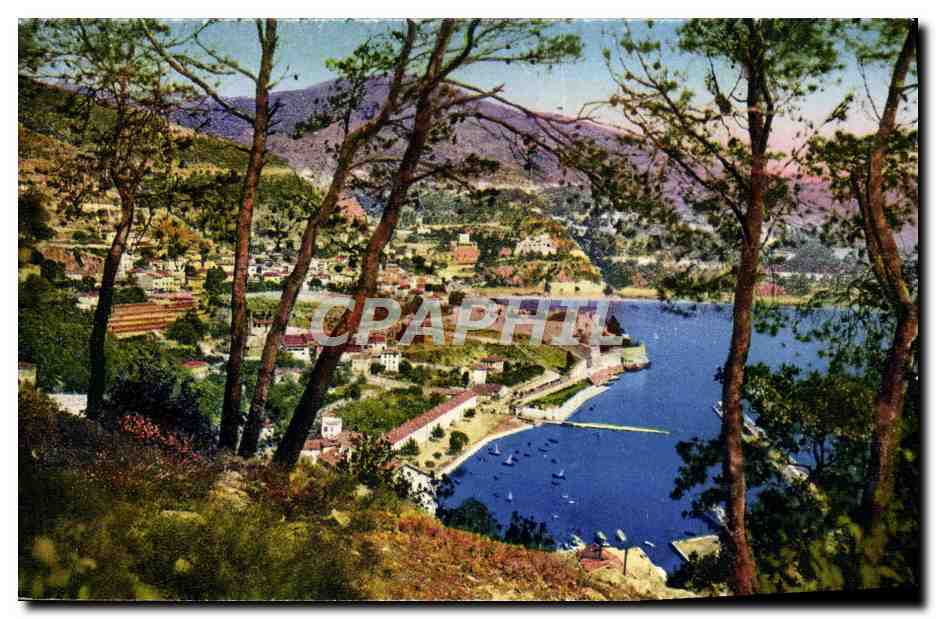 CPA Villefranche Sur Mer Vue Prise Entre Les Pins Et la Darse