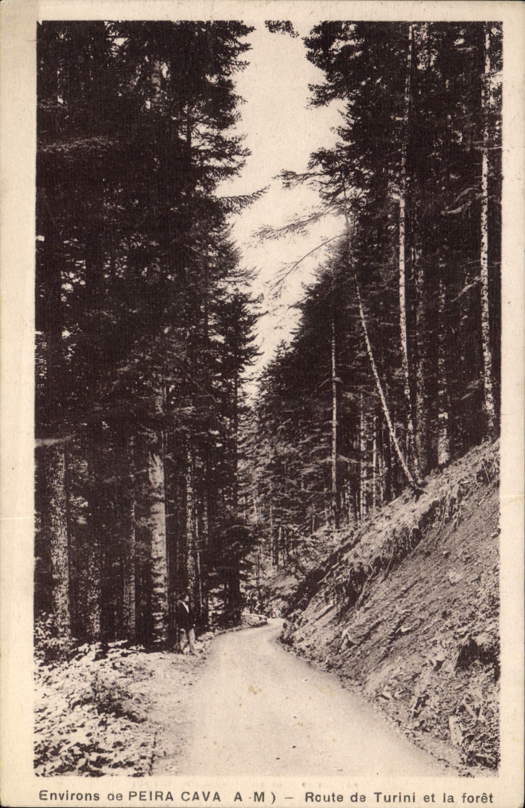 CPA Environs De Peira Cava Route De Turini Et La Foret