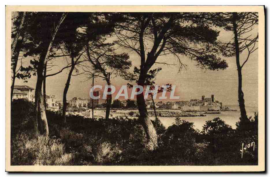 CPA Souvenir La Ville Vue A Travers Les Pins De la Corniche
