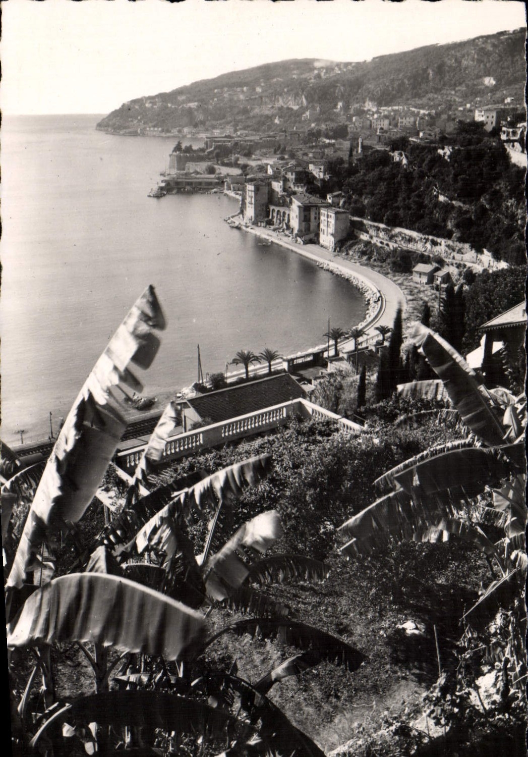 Villefranche-sur-Mer — vue sur la ville, le port et le cap de Nice prise entre les bananiers — Éditions 'LA CIGOGNE'