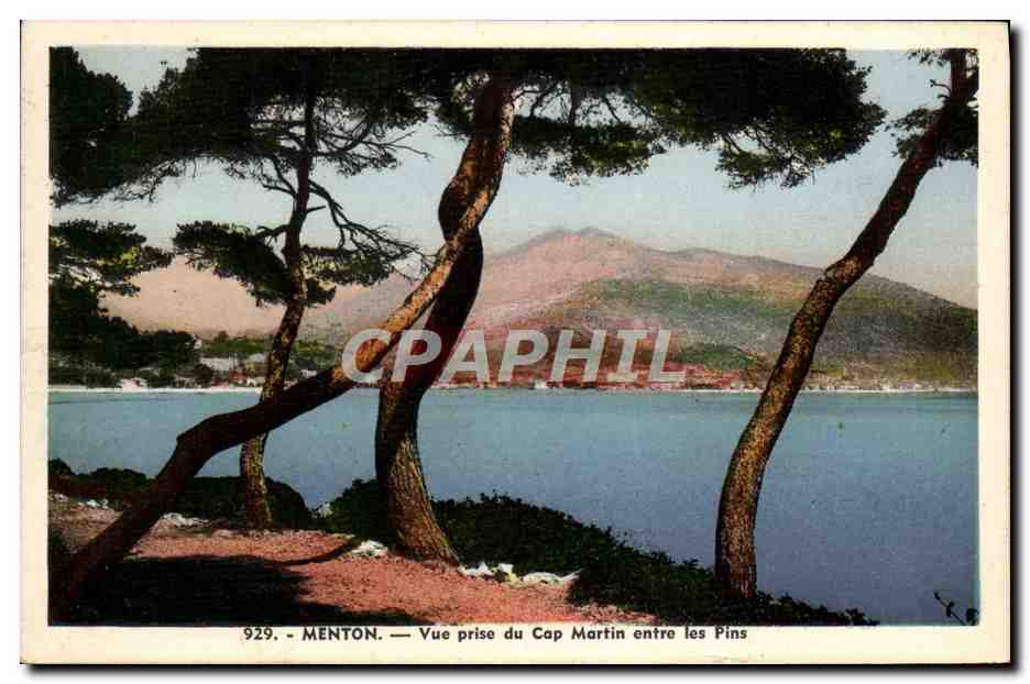 CPA Menton Vue Prise Du Cap Martin Entre Les Pins