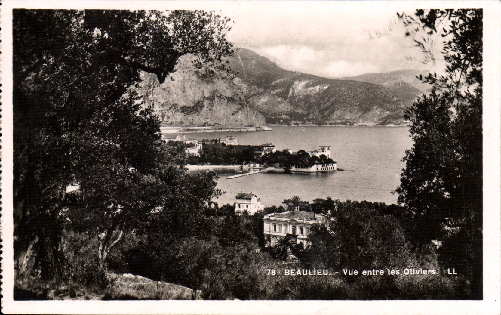 CPA Beaulieu Vue Entre Les Oliviers