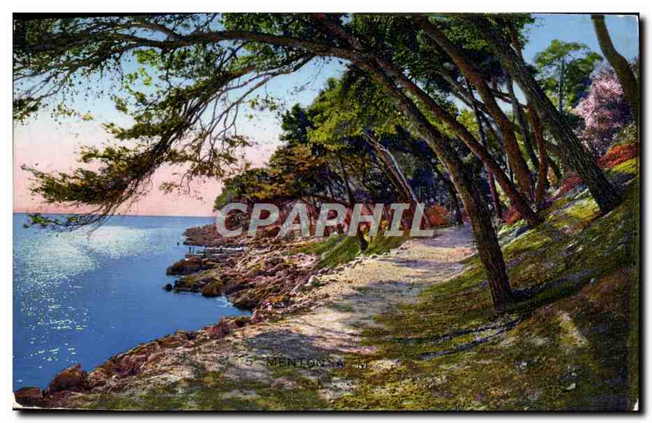 CPA Menton Cap Martin Promenade au bord de la mer