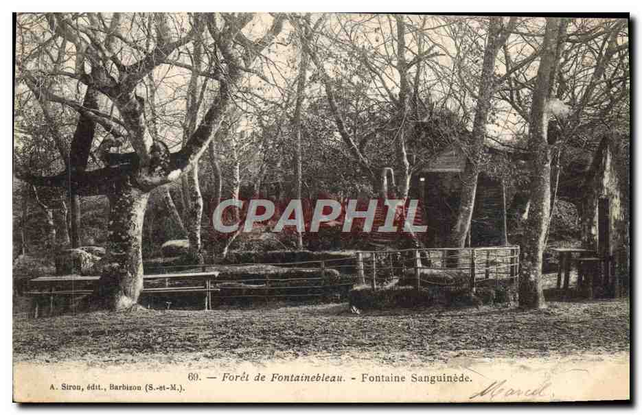 Forêt de Fontainebleau — Fontaine Sanguinède — A. Sirou, Verlag, Barbizon (S.-et-M.)