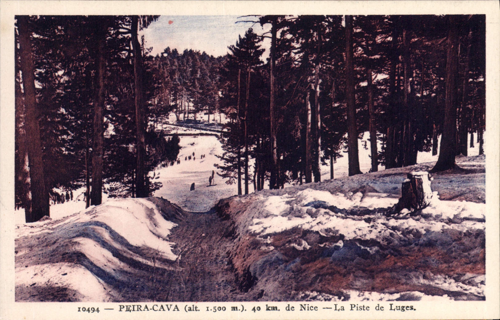 CPA Peira Cava La piste de luges 