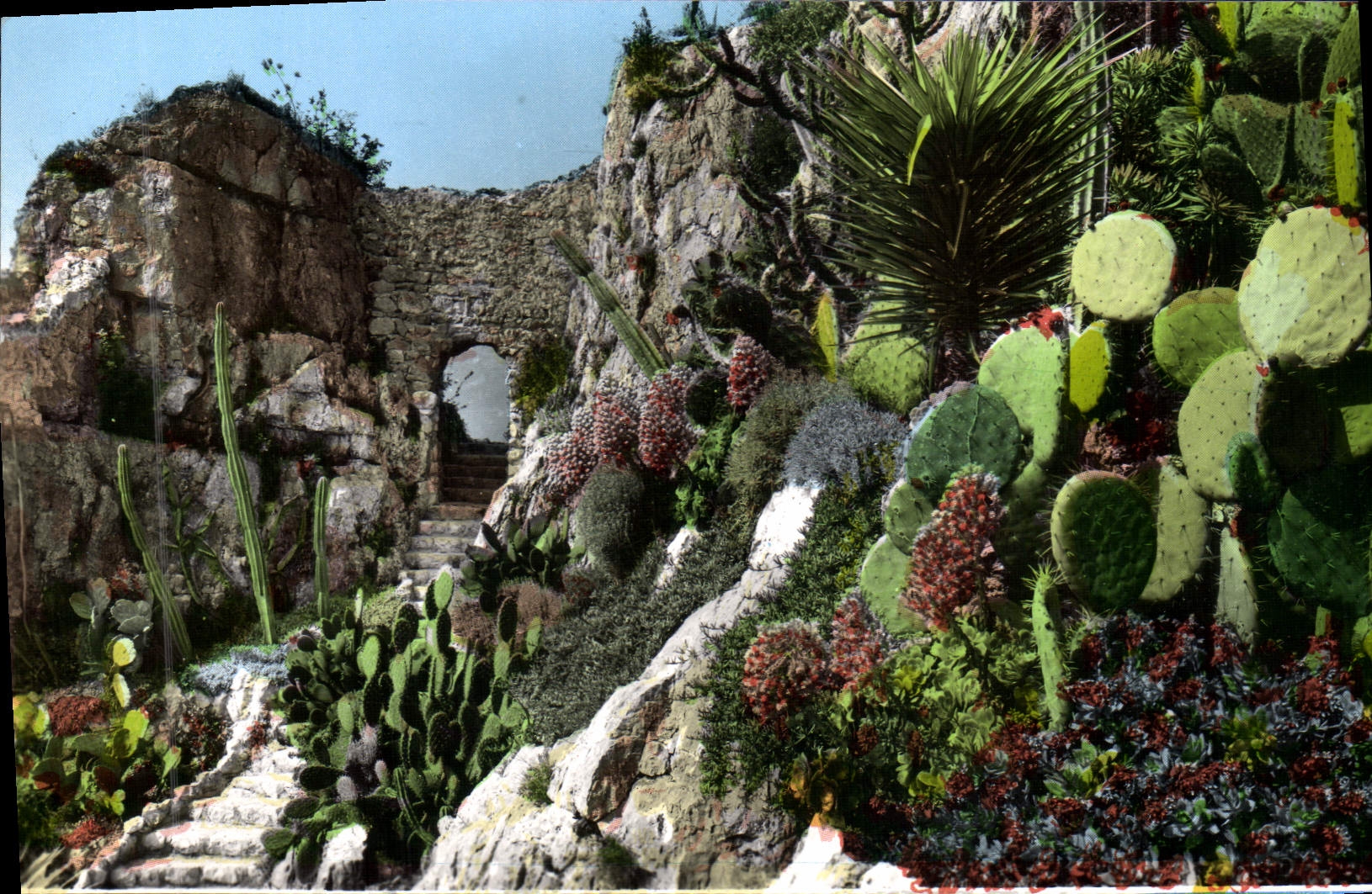 CPM Vieilles pierres et jardin exotique