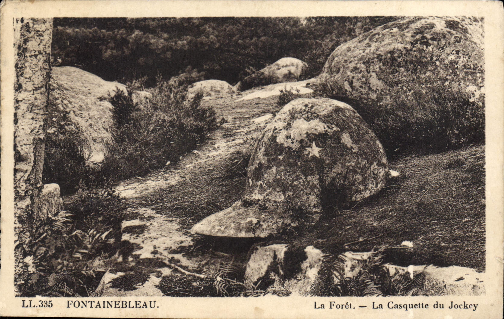 Fontainebleau — La Forêt — La Casquette du Jockey — LL.335