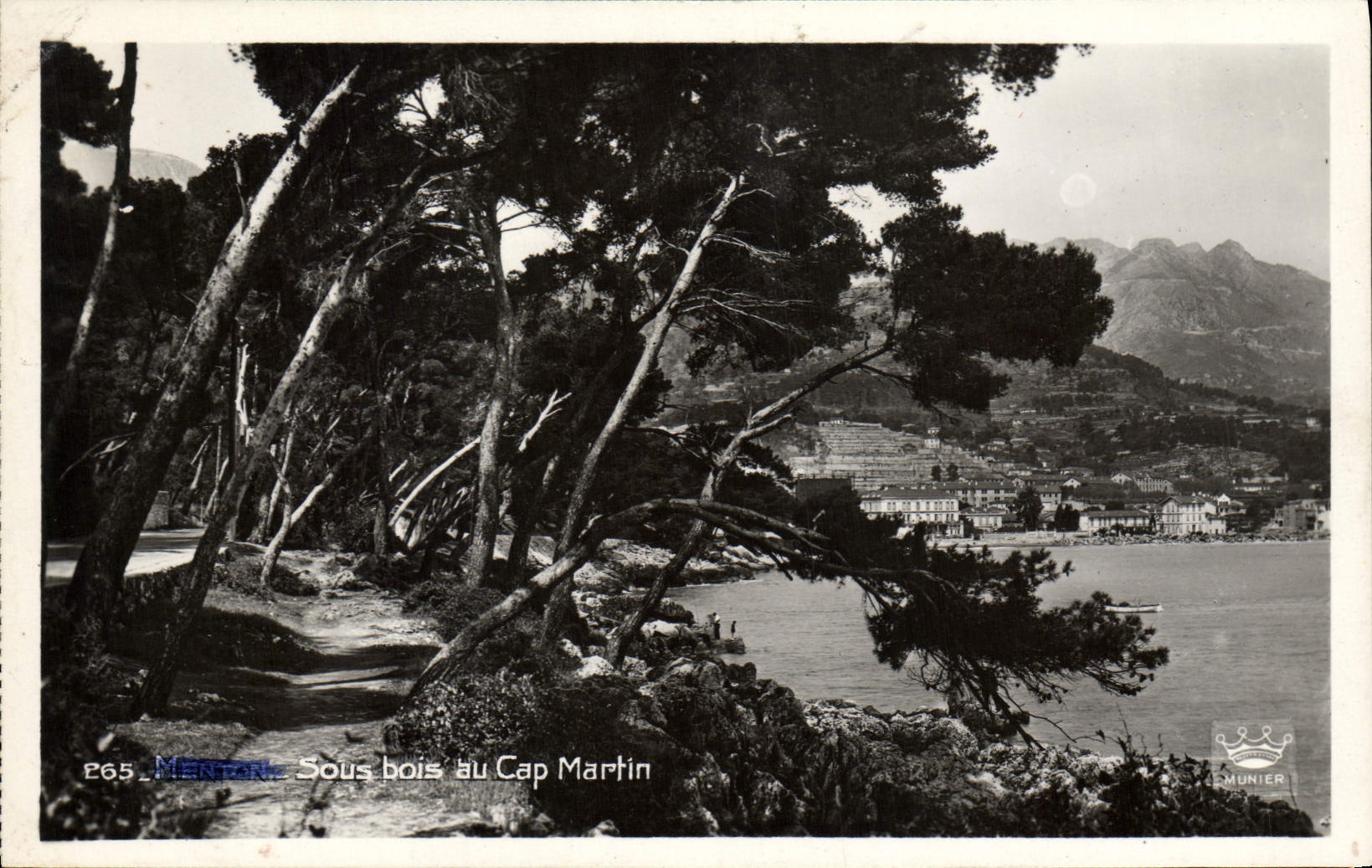 CPA Menton Sous bois du Cap Martin