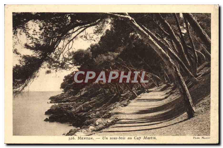 CPA Menton Un Sous Bois au Cap Martin