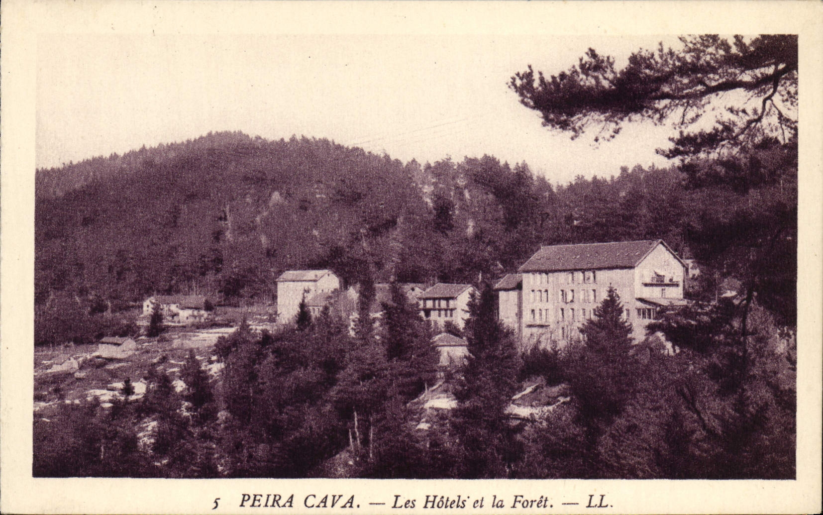 CPA Peira Cava Les Hotels et la Foret