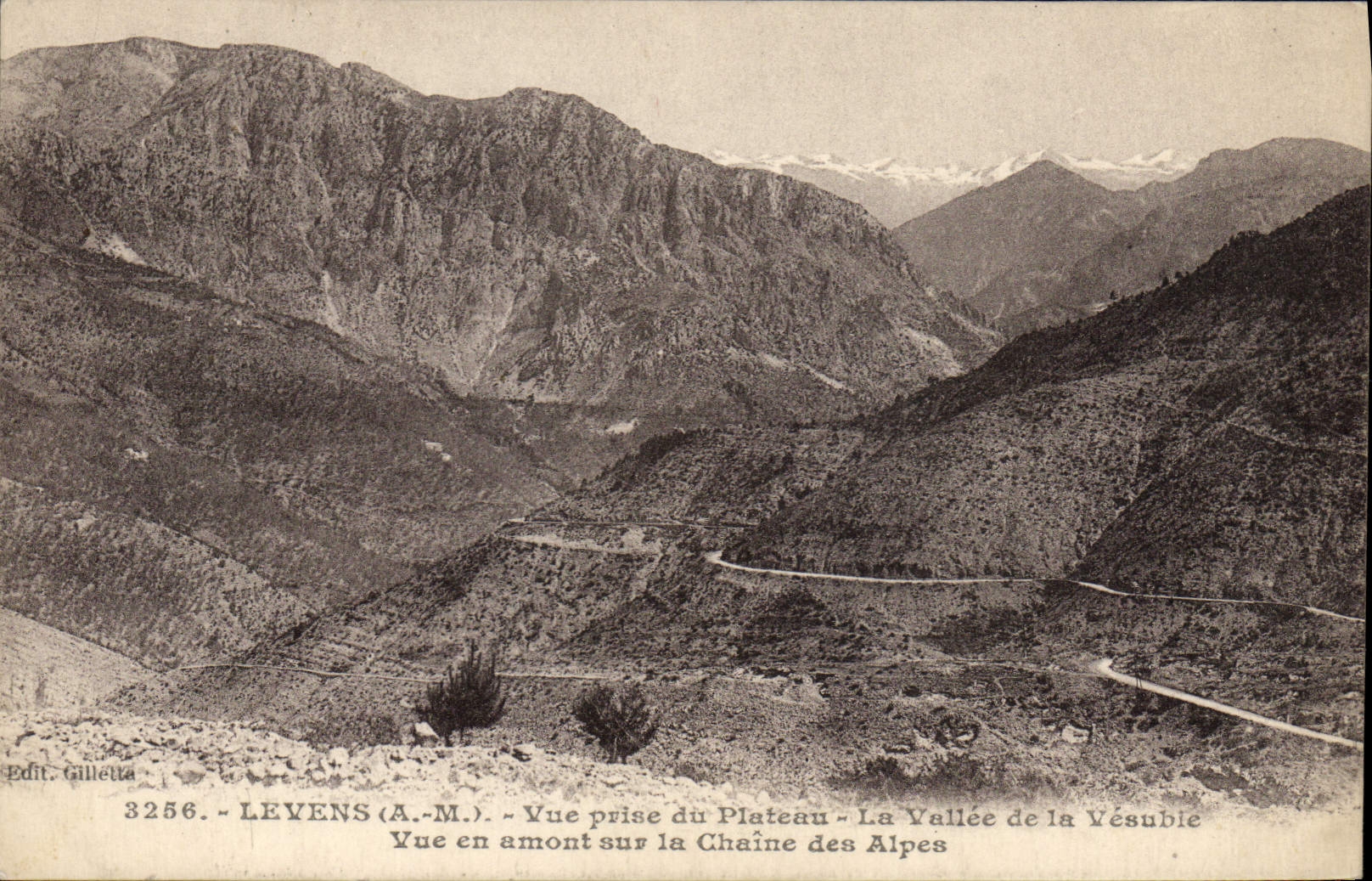 CPA Levens Vue Prise du Plateau La Vallee de la Vesubie Vue en amont sur la chaine des Alpes