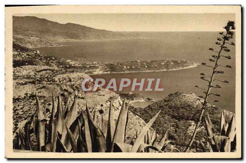 CPA le Cap Martin vu du rond point de la Turbie