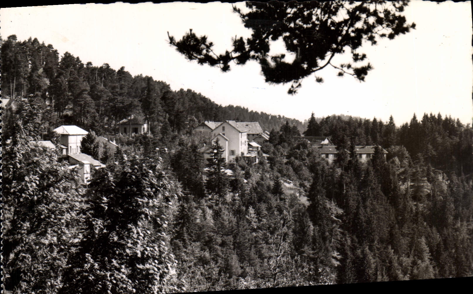 CPM Peira Cava Station Estivale et de Sports d'Hiver Vue generale 
