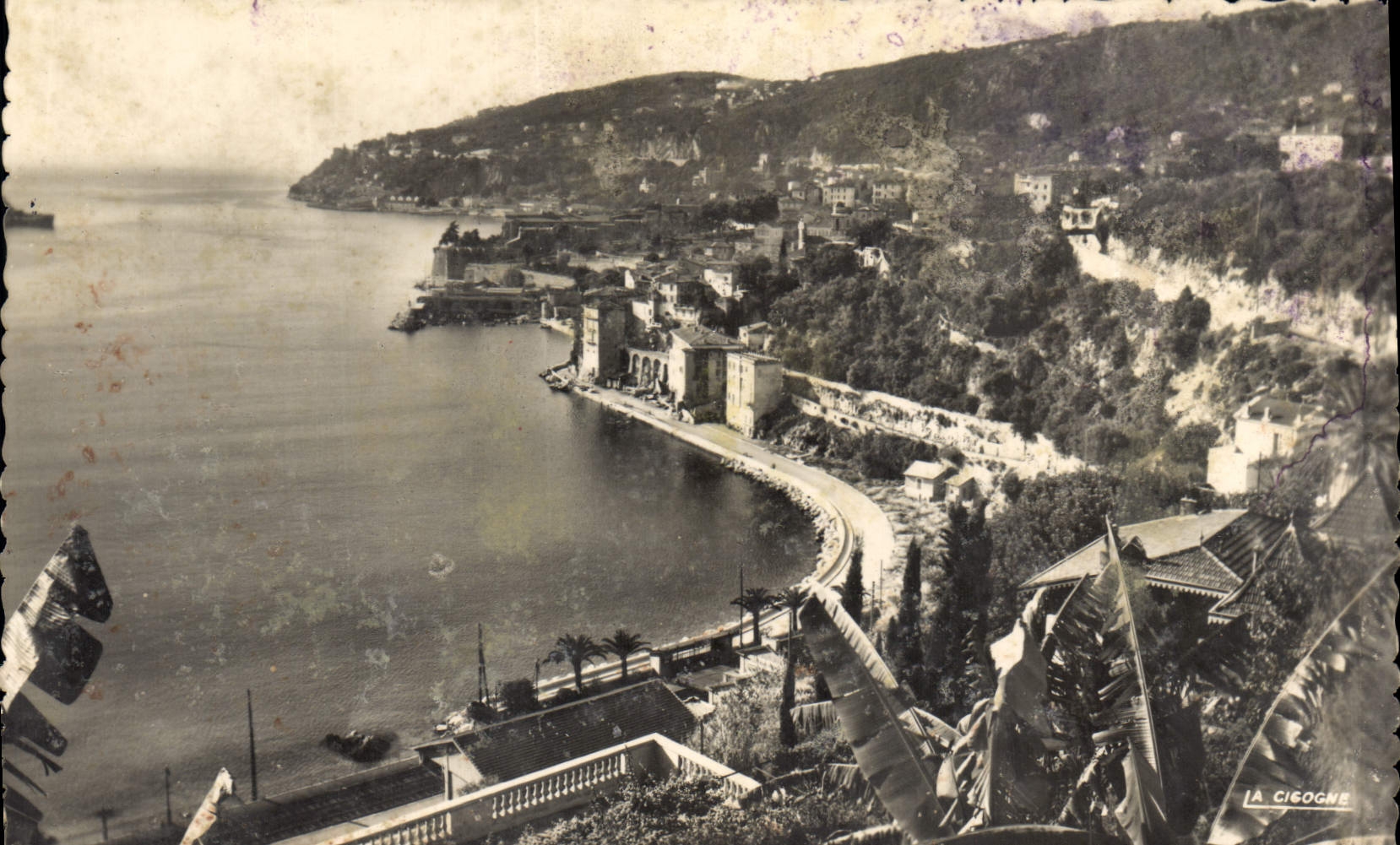 Vue sur la ville, la côte et le Cap de Nice — IA CIGOGNE