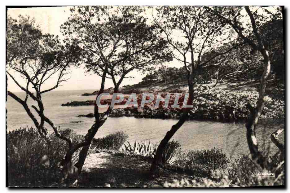 CPA Corniche d'Or Une Calanque