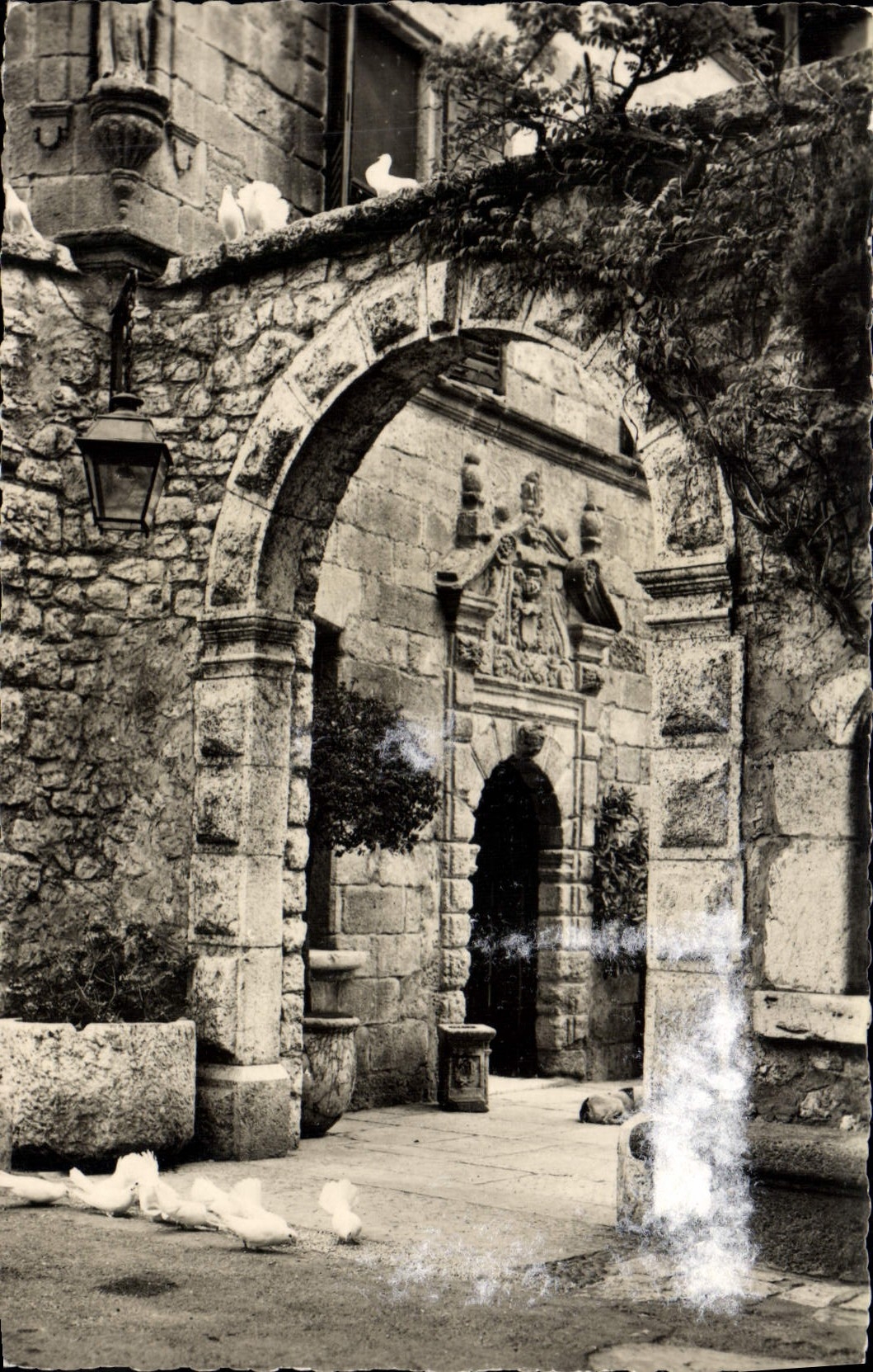 CPM Saint Paul Entree de la colombe d'Or