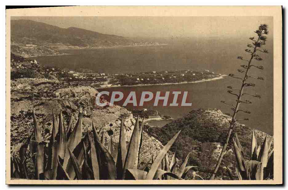 CPA Le Cap Martin vu du Rond Point de la Turbie
