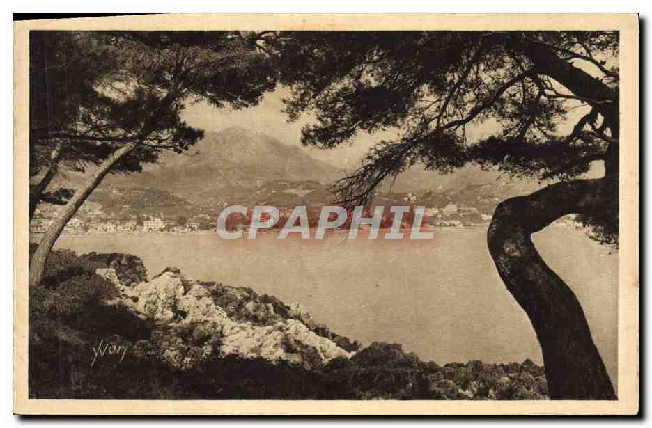 CPA Menton Cap Martin Vue generale sur Menton