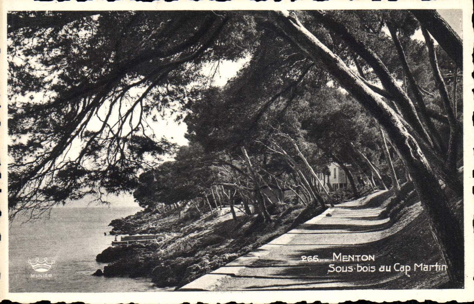 CPA Cap Martin Menton Sous Bois au Cap Martin