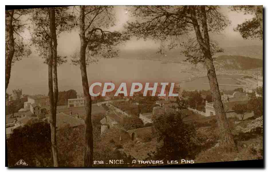 CPA Nice A travers Les Pins