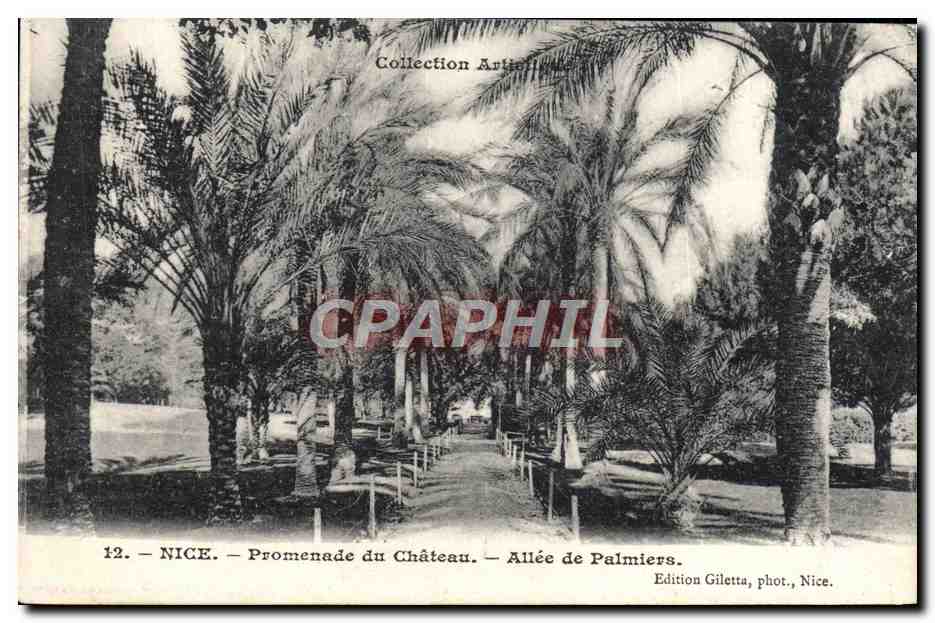 CPA Nice Promenade du Chateau Allee de palmiers