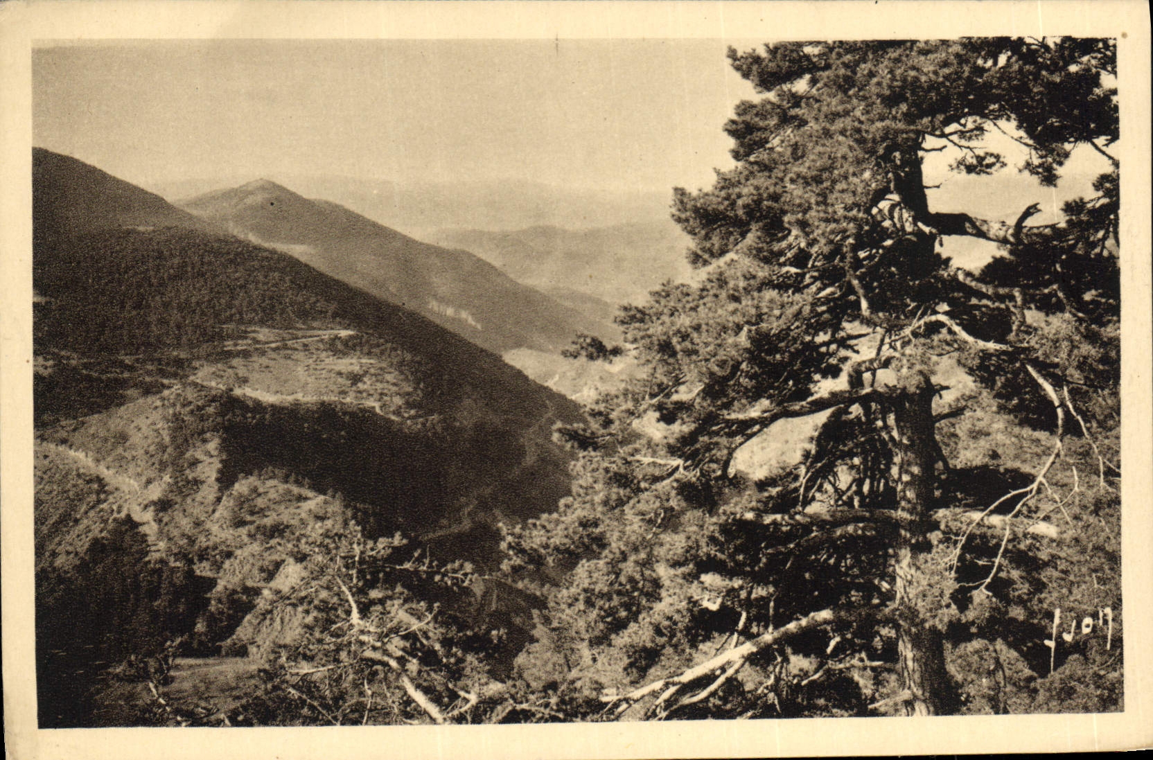 CPA De Nice a Sospel par Peira Cava Turini le col de l'Orme