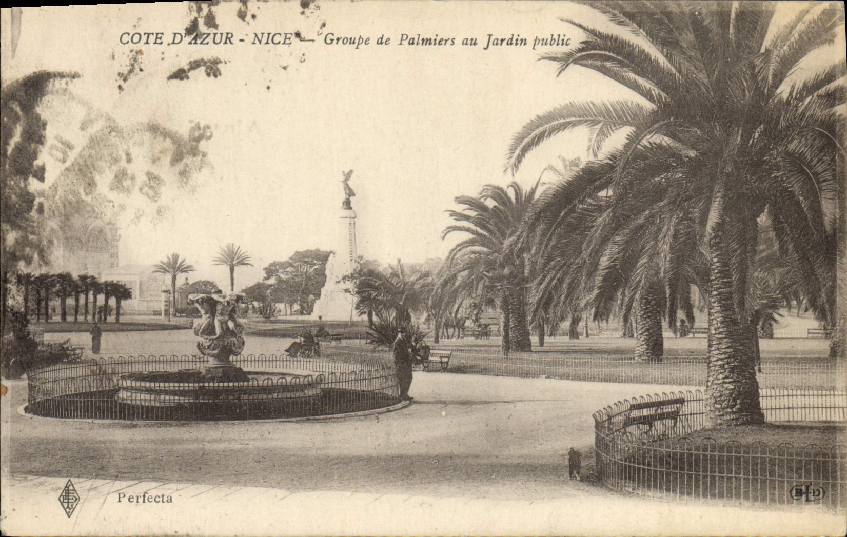 CPA Nice Groupe de Palmiers au Jardin Public
