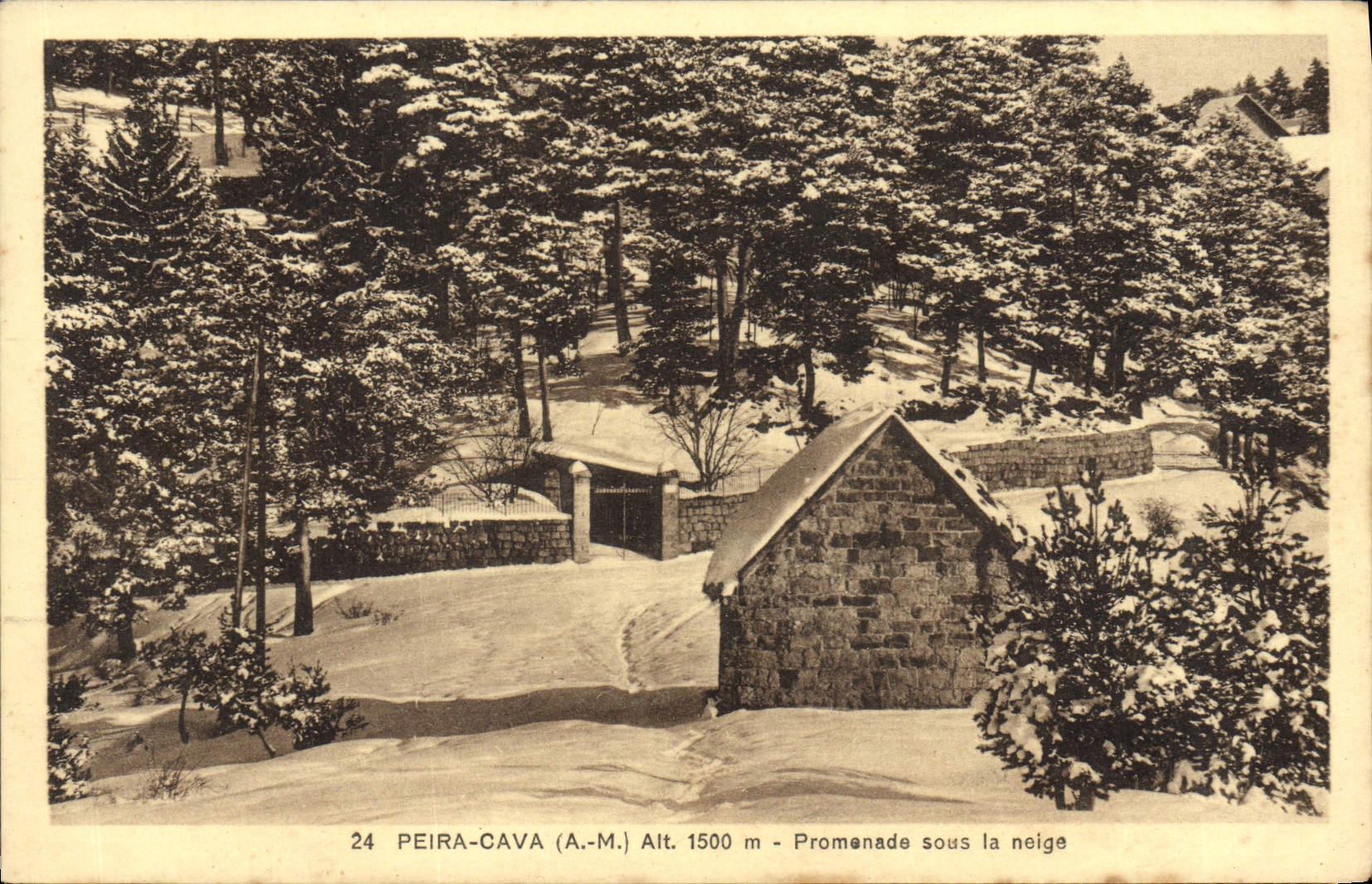 CPA Peira Cava Promenade Sous la Neige