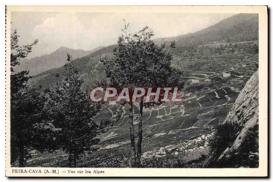 CPA Peira Cava Vue Sur Les Alpes