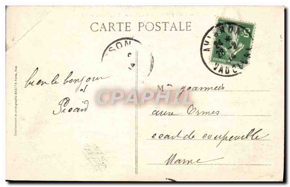 CPA Nice Vue Prise du Chateau Vegetaion Africaine — Back