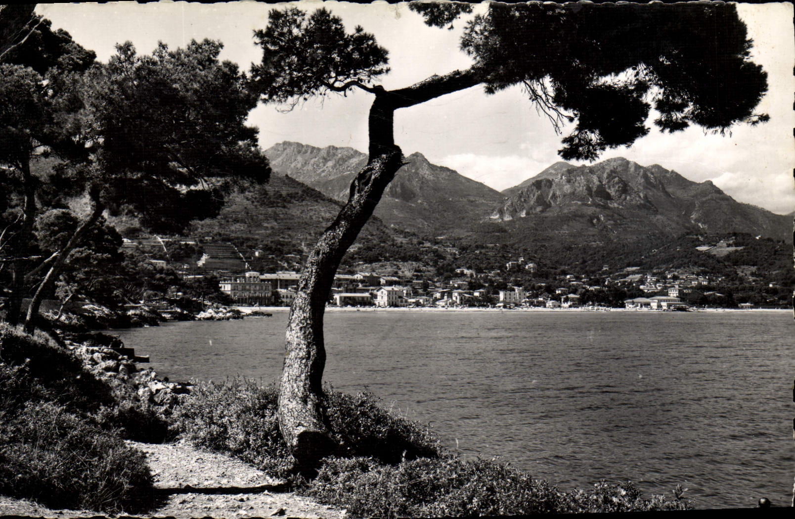 CPM Roquebrune Le Cap Martin Le sentier entre les rochers et au fond le Quartier de Carnoles