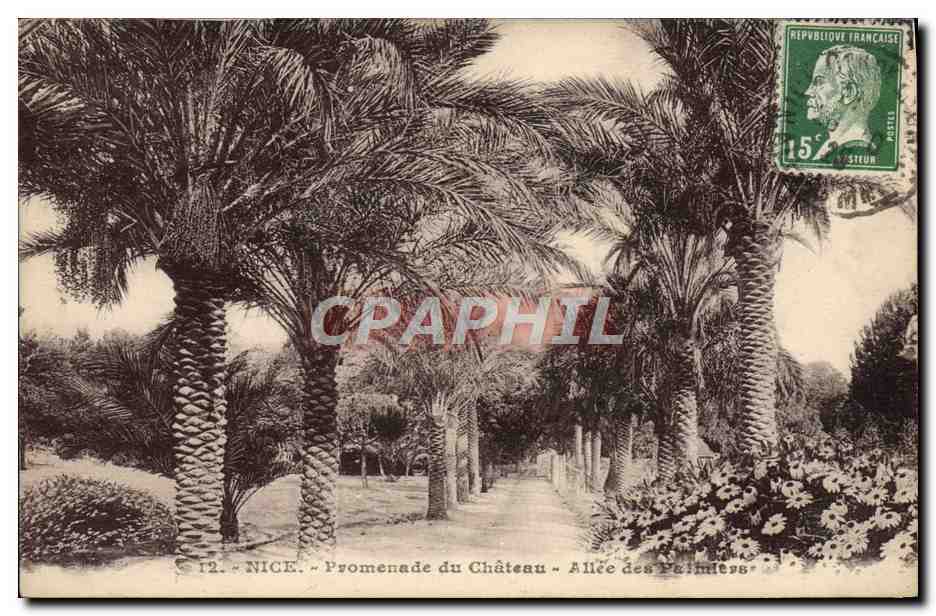 CPA Nice Promenade du Chateu Allee des Paimiers