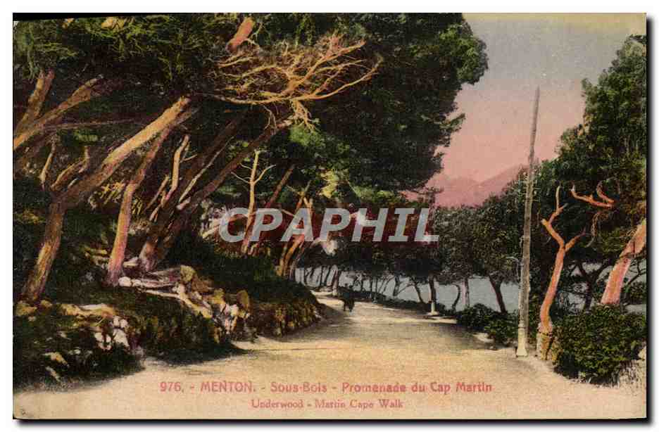 CPA Menton Sous Bois Promenade du Cap Martin 