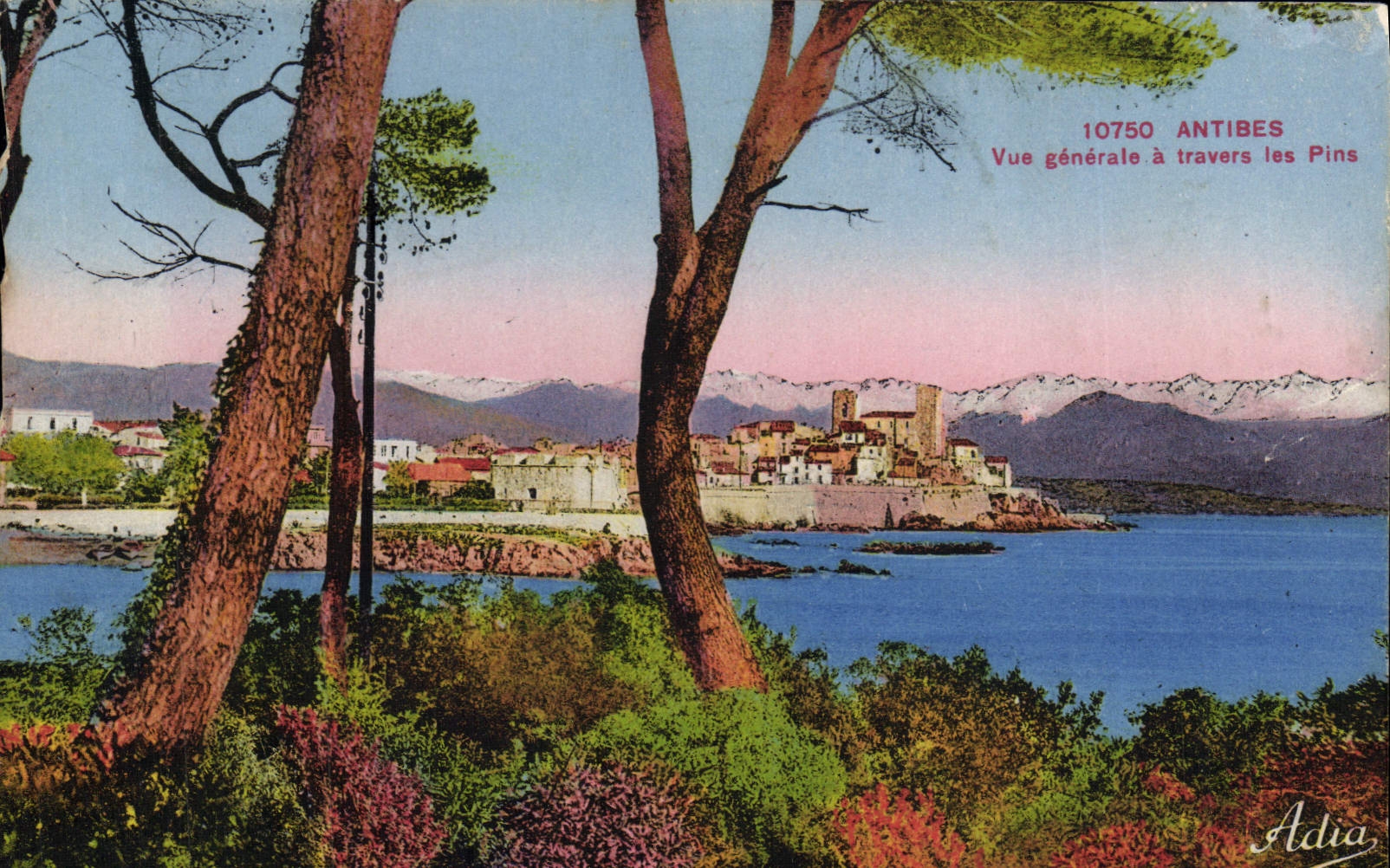 Antibes — Vue générale à travers les Pins — Adia, n° 10750