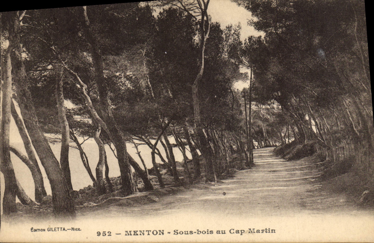 CPA Menton Sous Bois Au Cap Martin