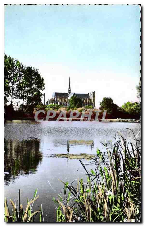 CPM Amiens L'Etang De St Pierre Et La Cathedrale