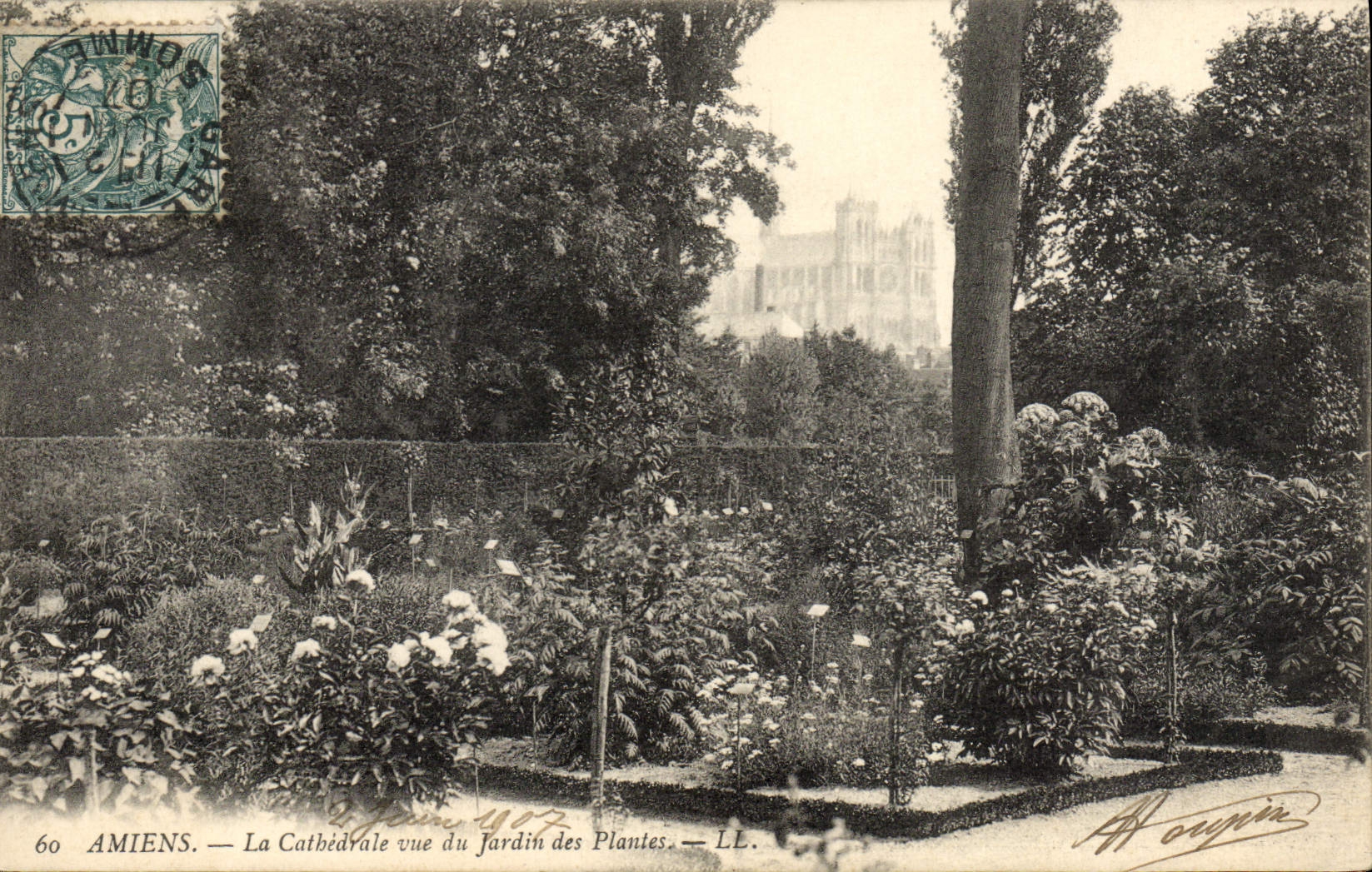 CPA Amiens La Cathedrale Vue Du Jardin Des Plantes