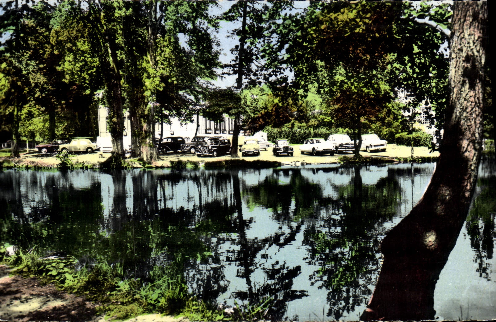 CPM Le Vesinet Le Lac Et Le Pavillon Des Ibis