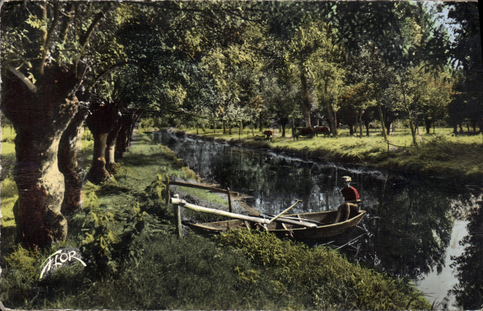 La Venise Verte (Deux-Sèvres) — pâturages en plein cœur du Marais — Éditions Artisitiques Marcel Carrière