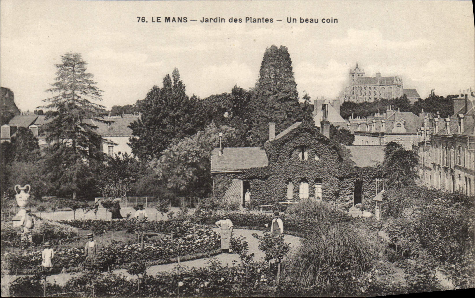 CPA Le Mans Jardin des Plantes Un Beau Coin